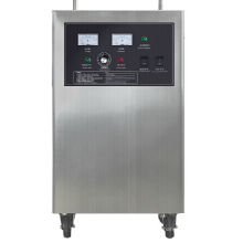 Industrial 10g Ozone Generator Water Sterilizer Device